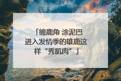 缠鹿角 涂泥巴 进入发情季的雄鹿这样“秀肌肉”